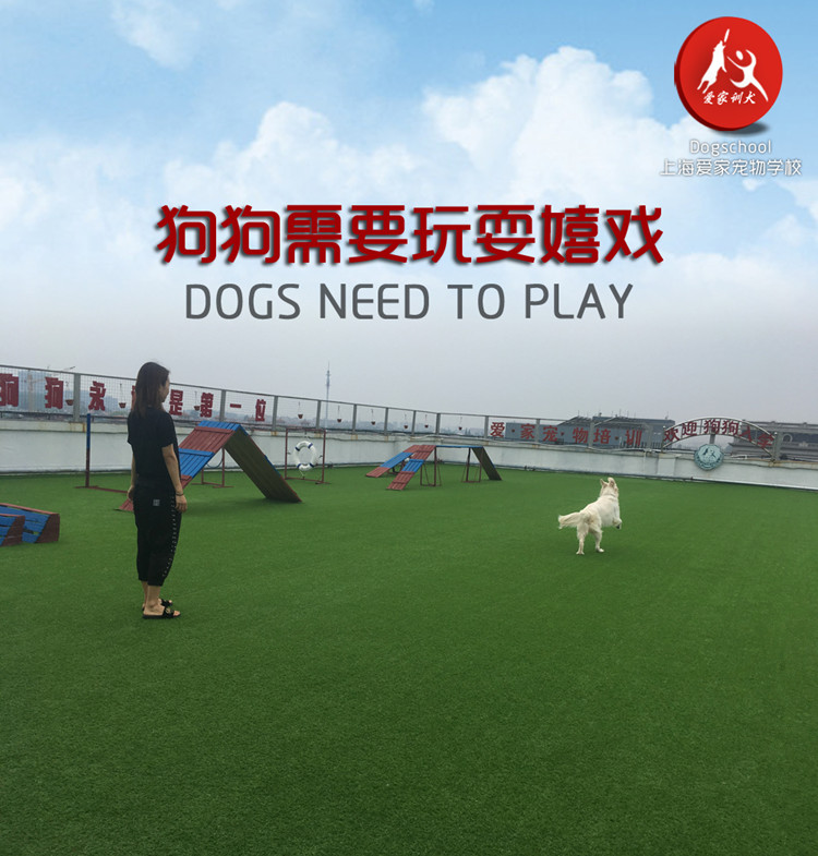 狗狗关怀4.jpg