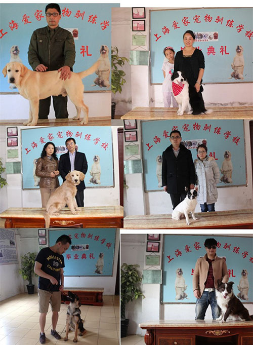 淘宝狗狗毕业照.jpg
