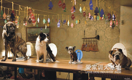爱家狗狗酒店