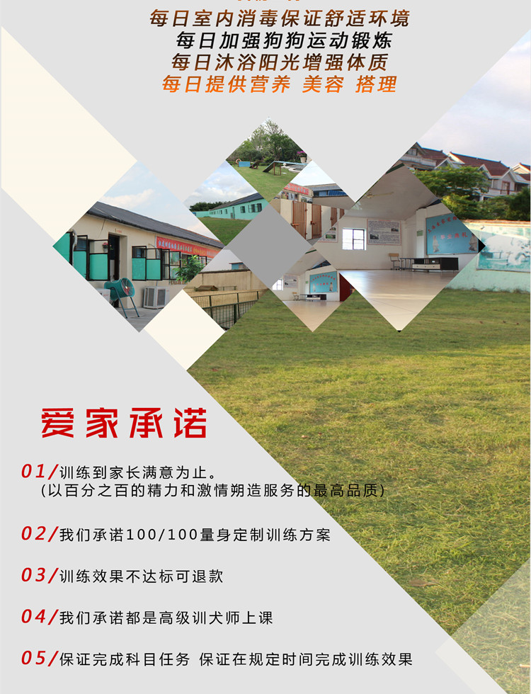 爱家宠物学校