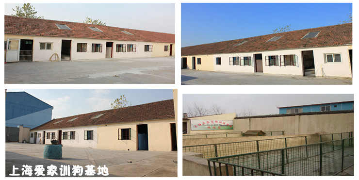爱家宠物学校